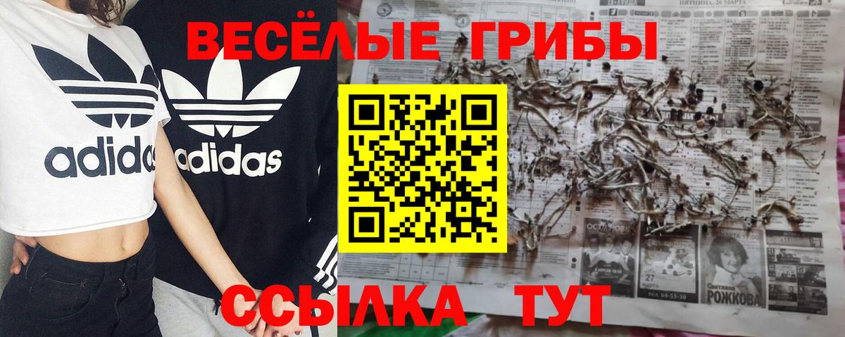Псилоцибиновые грибы ЛСД Красноуфимск